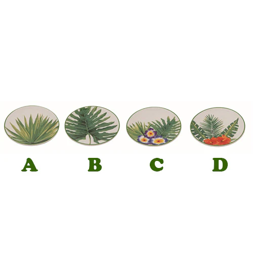 Outdoor Tabletop Dishes